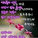 알 수 없는게 우리네 인생 이미지