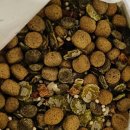 포우농장 이미지