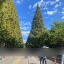 신기수목장 이미지