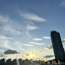 부산 요트투어 와이홀릭 광안리 드론쇼 야경 토요일 7시 반 후기