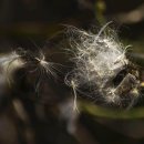 가온공원 이미지