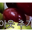 안금정어린이공원