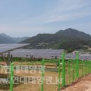 매화정태양광발전소 이미지