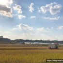 친환경까치마을 이미지