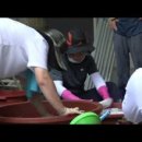 금지면 용전마을 이미지