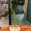 바로크안경 이미지