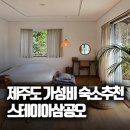 스테이 이삼공오 이미지