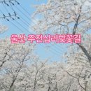 쇠평어린이공원 놀이터 이미지