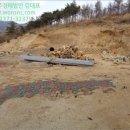 도원1리경로당 이미지