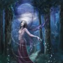 퍼펙트더블유 이미지