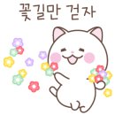 퀸바디테라피