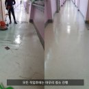 메디오피스