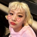 퍼피스타일 이미지