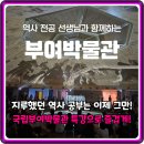 유적지로 만나는 한국사 | 학부모 극찬! 국립부여박물관 초등 한국사 도슨트 특강 핵심 분석