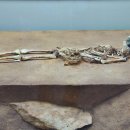 충북대학교박물관 이미지