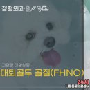 고촌동물병원 이미지