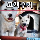 우성아울렛