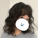 수지헤어 | [수지 미용실] 히피펌 젤리펌 이철헤어커커 죽전점 | 내돈내산 후기