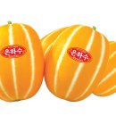 농업회사법인(주)성주 이미지