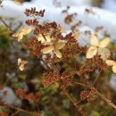 함평자연생태공원 이미지