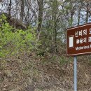 범바위식당 | 봉화 범바위 전망대 | 낙동강과 한반도를 닮은 풍경, 이곳에 다 있다