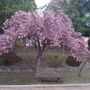 #[여수 여행] 웅천친수공원과 이순신마리나...........81 이미지