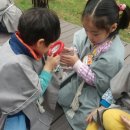 금당어린이집 이미지