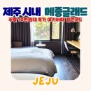 메종동물병원 | 제주 메종글래드 호텔 조식패키지 특가 | 1월 제주도 제주시 숙소 후기