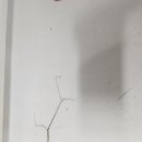 웰뷰파크 이미지