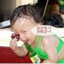 임당 Daum카페