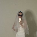에이치에스(HS)에너지 | 인플루언서 되는 방법(?)과 인스타 노출 잘 되는 방법, 릴스 조회수 터지는 방법, 그리고 잃어버린 사진...