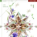 풀블룸