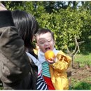 동준이 농장 이미지