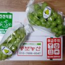 뚱보농산