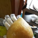 마천산장