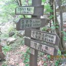 토속건강원