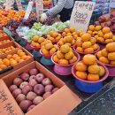 산단탑마트 | [정관5일장/정관탑마트장] 2,7일에 열리는 정관 탑마트 5일장 구경하고 득템해온 후기!