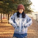 N129 이미지