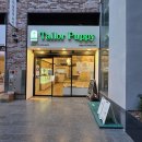 Tailor Puppy 이미지