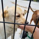 이호농장 이미지