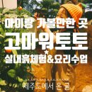 토토빌어린이집 | [아이랑 갈만한 곳] 고마워 토토 광교점 “제주도에서 온 귤” (숲체험&amp;요리수업-복만두)