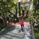 꼬모어린이집 이미지