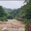 항상 긍정적인 마인드로~ 이미지