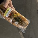 칸나빈티지 | 1/12 ~ 1/18_석사 1학년 중간발표가 끝났어요!