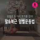 덤벨로 팔운동만 한다구요? 덤벨로 할 수 있는 팔&amp;복근운동법 이미지