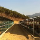 동리 농장 이미지