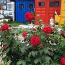 주문진터미널 이미지