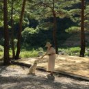 왕피천 숲속 캠핑장 이미지