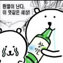 팡팡여행사 이미지