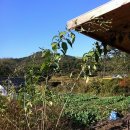 개울건너 이미지